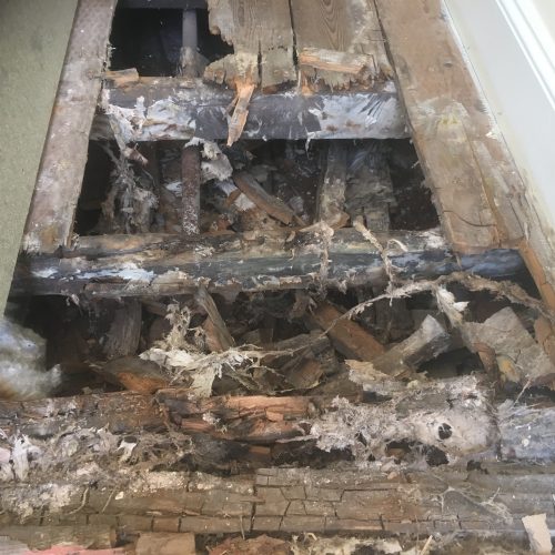 Rot Treatment Devon