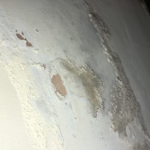damp treatment Plymouth