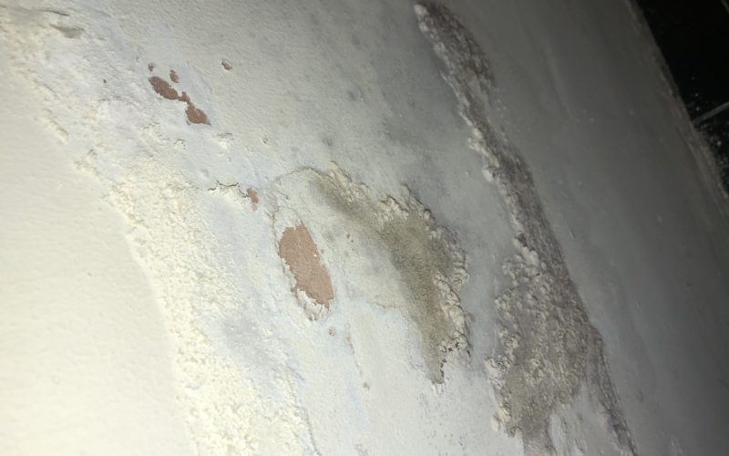 damp treatment Plymouth