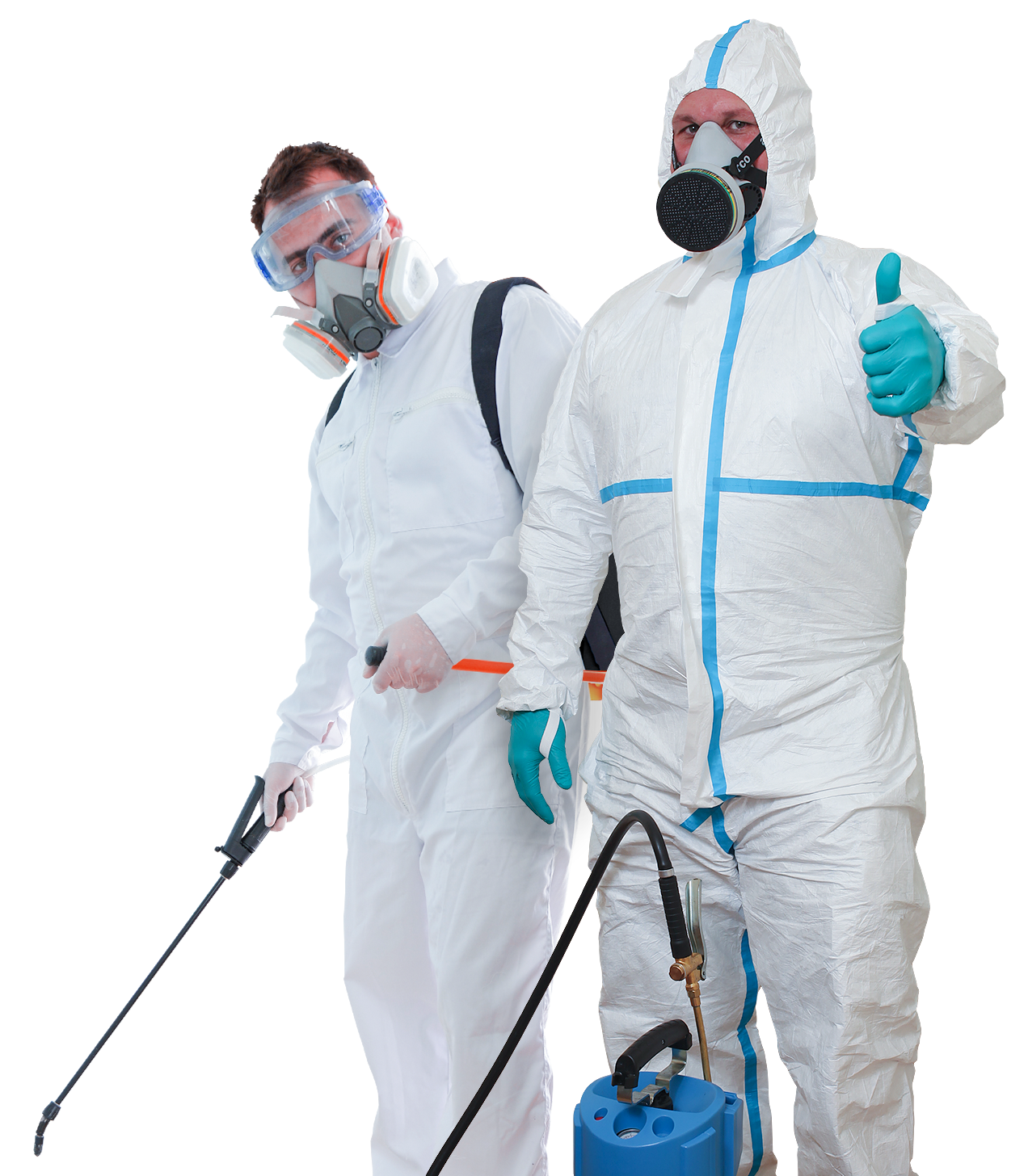 Woodworm spray treatment plymouth