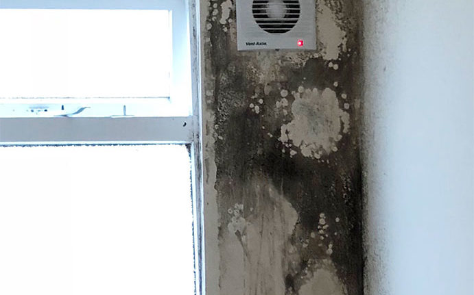 condensation treatment plymouth