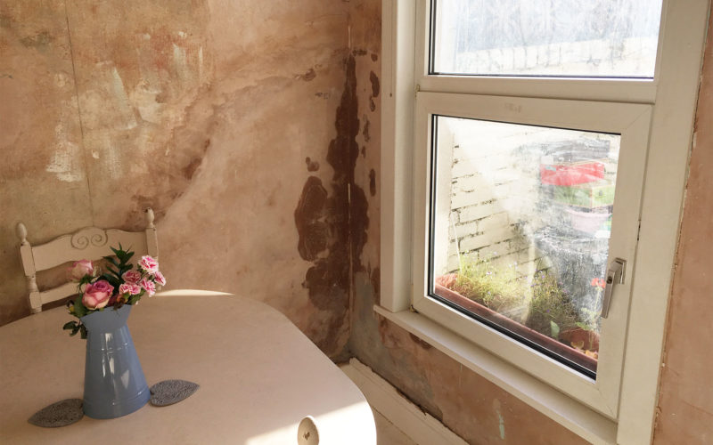 penetrating damp treatment plymouth